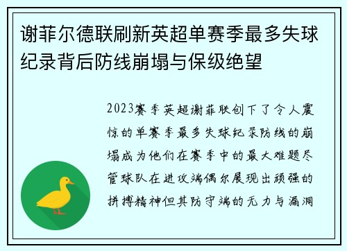 谢菲尔德联刷新英超单赛季最多失球纪录背后防线崩塌与保级绝望